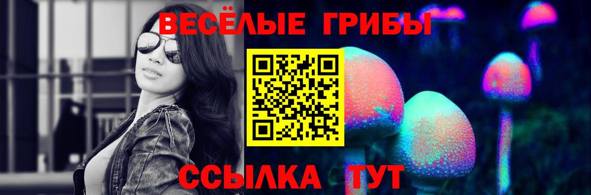 дарнет шоп  Вход с VPN  Видное  Галлюциногенные грибы мицелий 